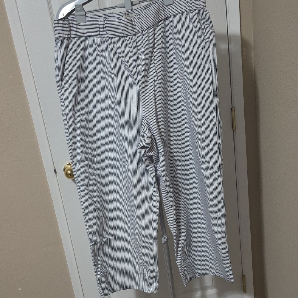 Talbots Navy and White Striped Pants Size XL EUC